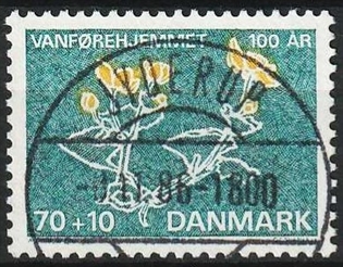 FRIMÆRKER DANMARK | 1972 - AFA 531 - Vanførehjemmet 100 år - 70 + 10 øre grøn/gul - Lux Stemplet Jyderup